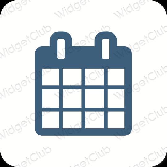 Icônes d'application Calendar esthétiques