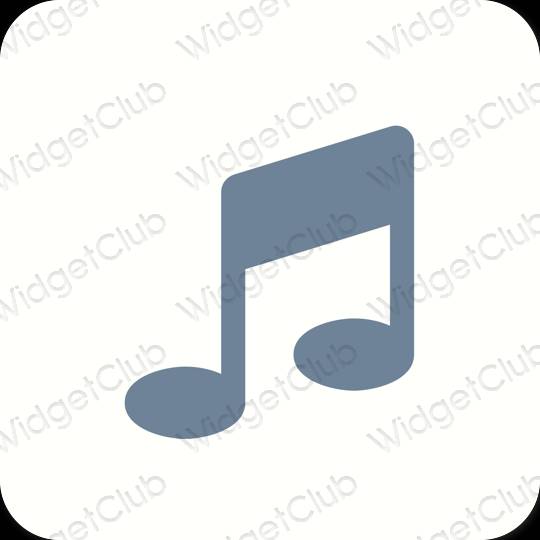 Esthetische Apple Music app-pictogrammen