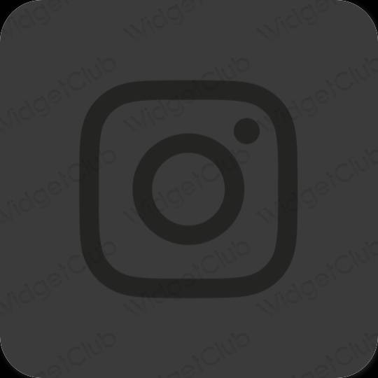 រូបតំណាងកម្មវិធី Instagram សោភ័ណភាព