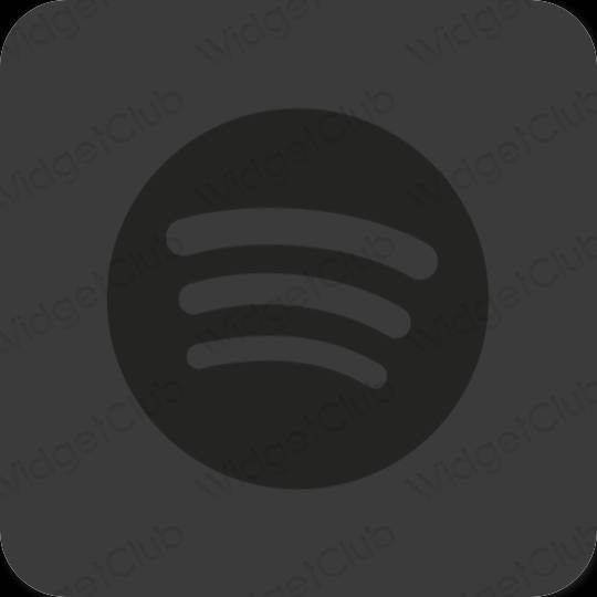 Esthetische Spotify app-pictogrammen