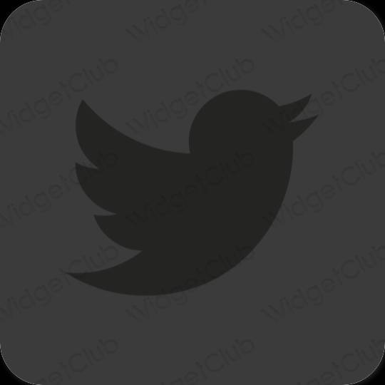 Aesthetic Twitter app icons