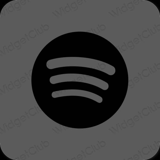 Esthétique grise Spotify icônes d'application