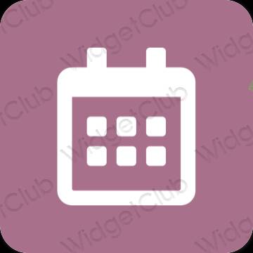 Esthetische Calendar app-pictogrammen
