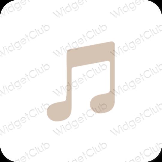 Esthetische Apple Music app-pictogrammen