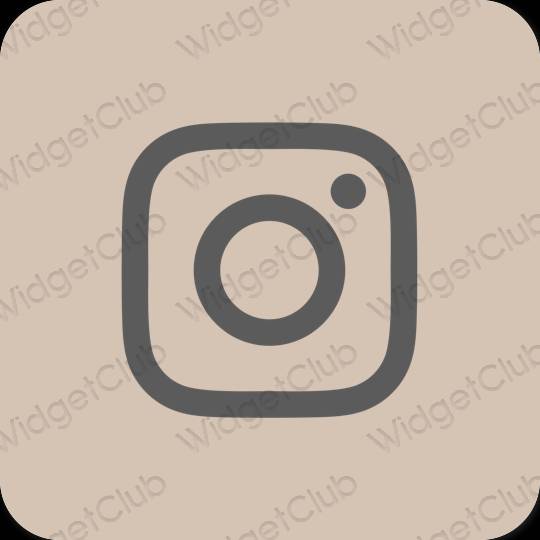 Æstetiske Instagram app-ikoner