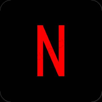 美学Netflix 应用程序图标