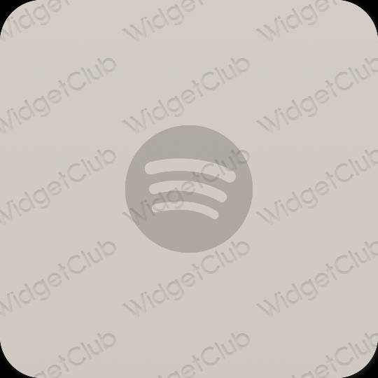 Ästhetische Spotify App-Symbole