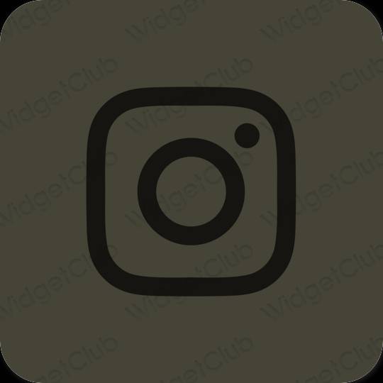 Æstetiske Instagram app-ikoner