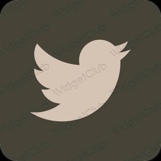 Icone delle app Twitter estetiche