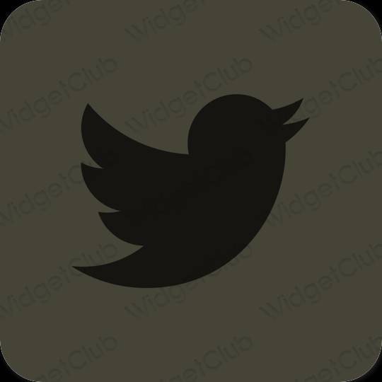 Icônes d'application Twitter esthétiques