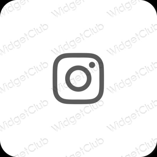 Biểu tượng ứng dụng Instagram thẩm mỹ