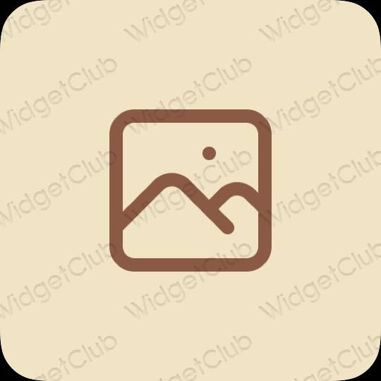 Aesthetic beige Photos app icons