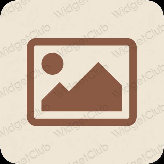 Aesthetic beige Photos app icons