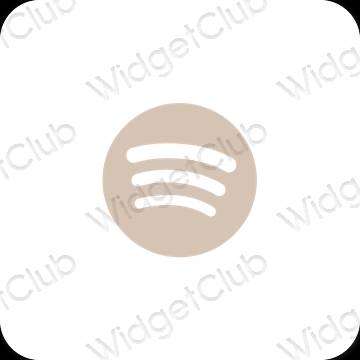 Esthetische Spotify app-pictogrammen