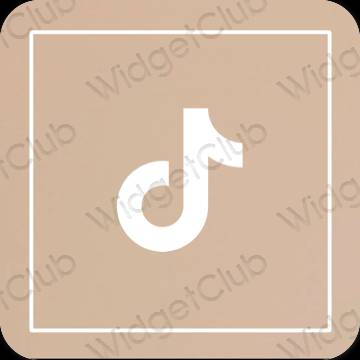 Aesthetic TikTok app icons