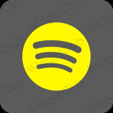 Stijlvol grijs Spotify app-pictogrammen