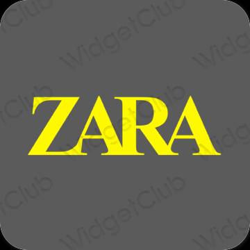 Thẩm mỹ xám ZARA biểu tượng ứng dụng