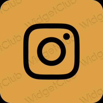Естетичен оранжево Instagram икони на приложения