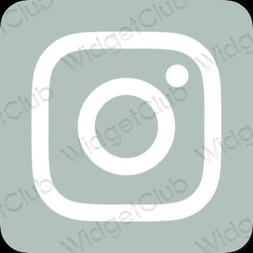 Estético verde Instagram iconos de aplicaciones