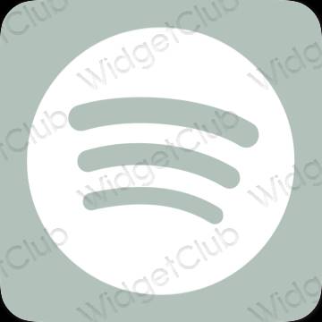 Æstetiske Spotify app-ikoner