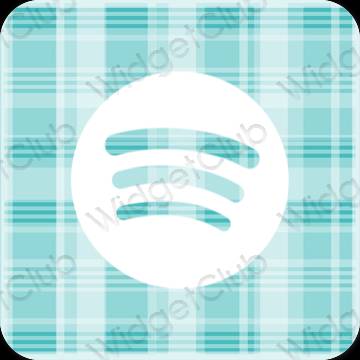 Estetik Spotify proqram nişanları