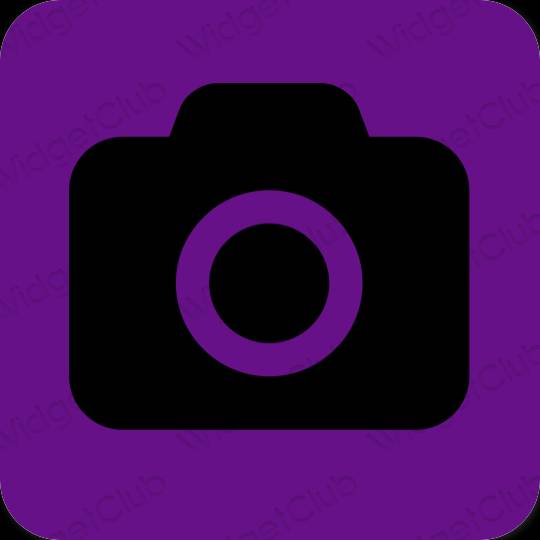 紫 カメラ おしゃれアイコン画像素材
