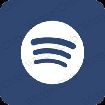 Ästhetische Spotify App-Symbole