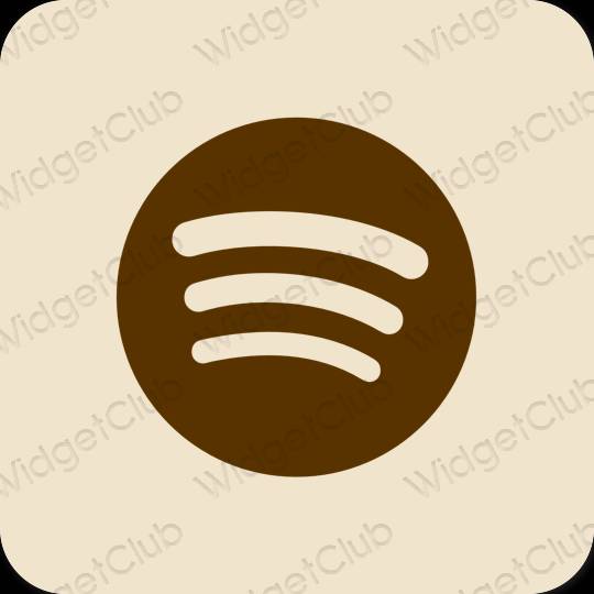 審美的 淺褐色的 Spotify 應用程序圖標
