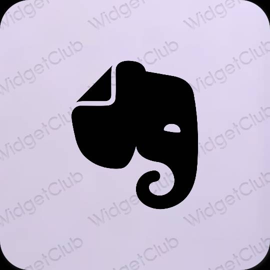 Aesthetic Evernote app icons