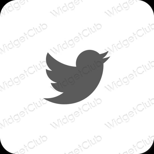 Icônes d'application Twitter esthétiques