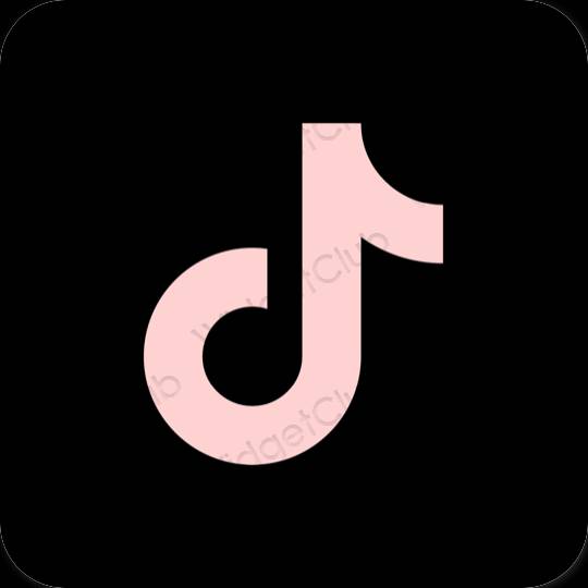 Aesthetic TikTok app icons