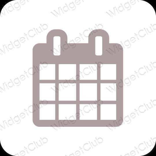 Icônes d'application Calendar esthétiques