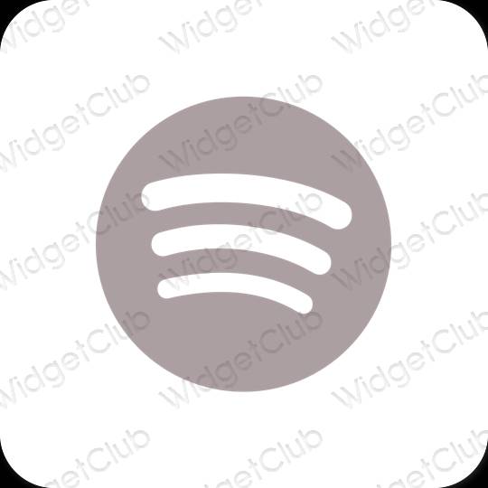 រូបតំណាងកម្មវិធី Spotify សោភ័ណភាព