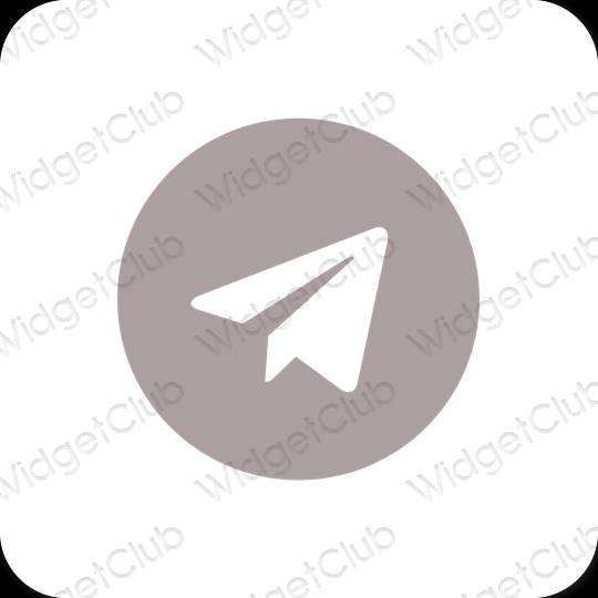 미적 Telegram 앱 아이콘