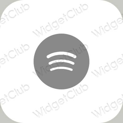 Icônes d'application Spotify esthétiques