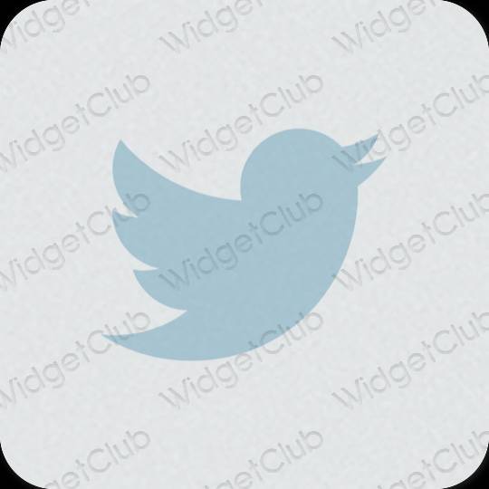 Icônes d'application Twitter esthétiques