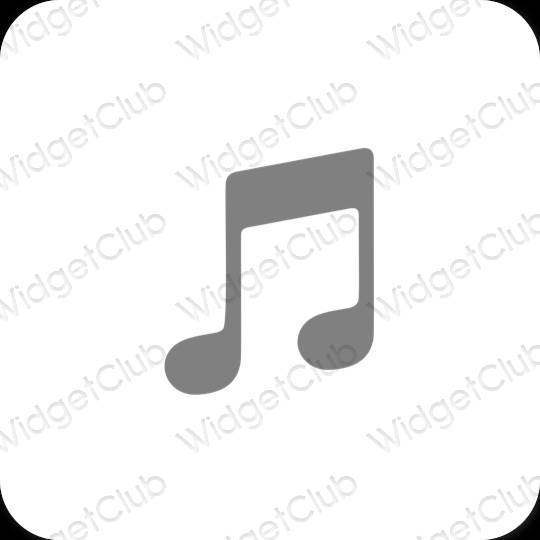 美學Apple Music 應用程序圖標