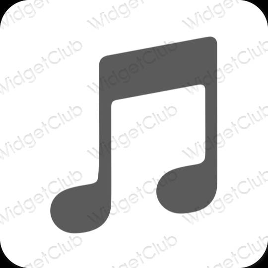 Esthetische Apple Music app-pictogrammen