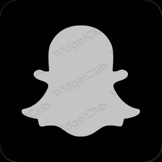 Estético gris snapchat iconos de aplicaciones
