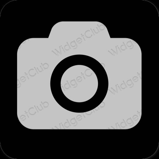 Estetik kelabu Camera ikon aplikasi