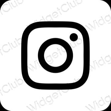 美學Instagram 應用程序圖標