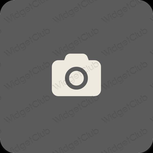 Estetický šedá Camera ikony aplikací