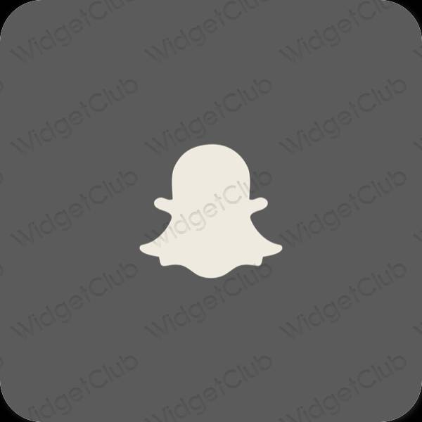 Stijlvol grijs snapchat app-pictogrammen