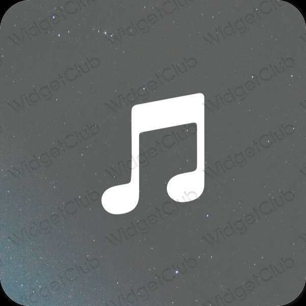 Esthetische Music app-pictogrammen