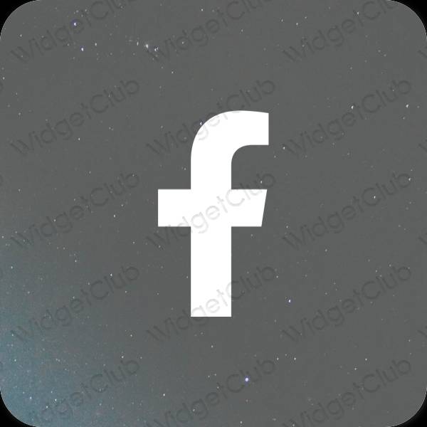 Icônes d'application Facebook esthétiques