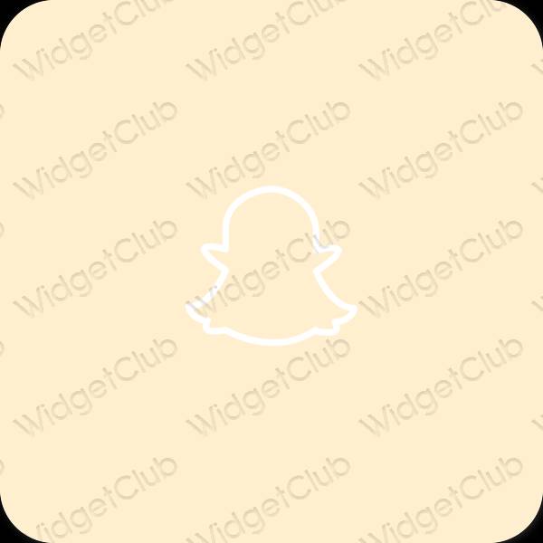 美學snapchat 應用程序圖標