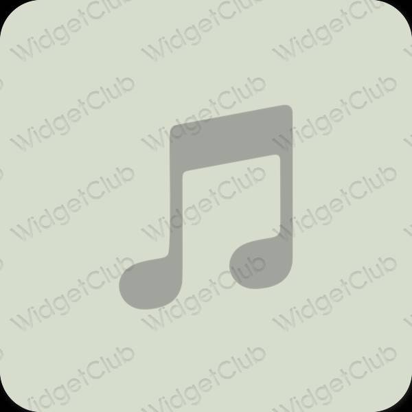 ไอคอนแอพ Aesthetic Apple Music