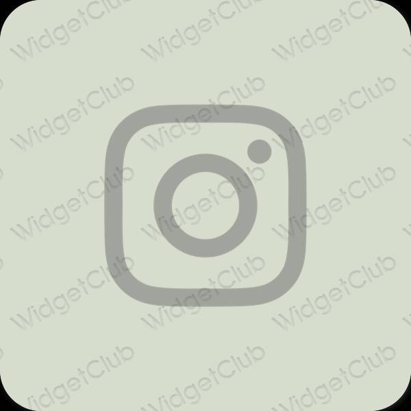 Aesthetic Instagram app icons