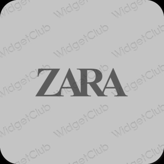 Estetisk grå ZARA app ikoner