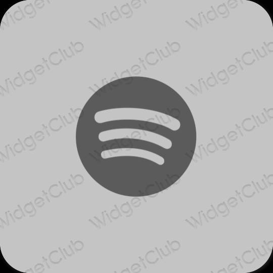 Esthétique grise Spotify icônes d'application
